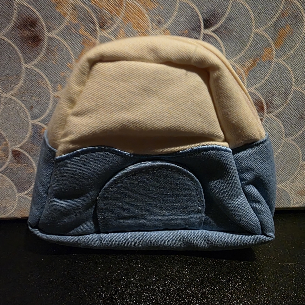 Mt Fuji Pouch From Japan. Nwot.